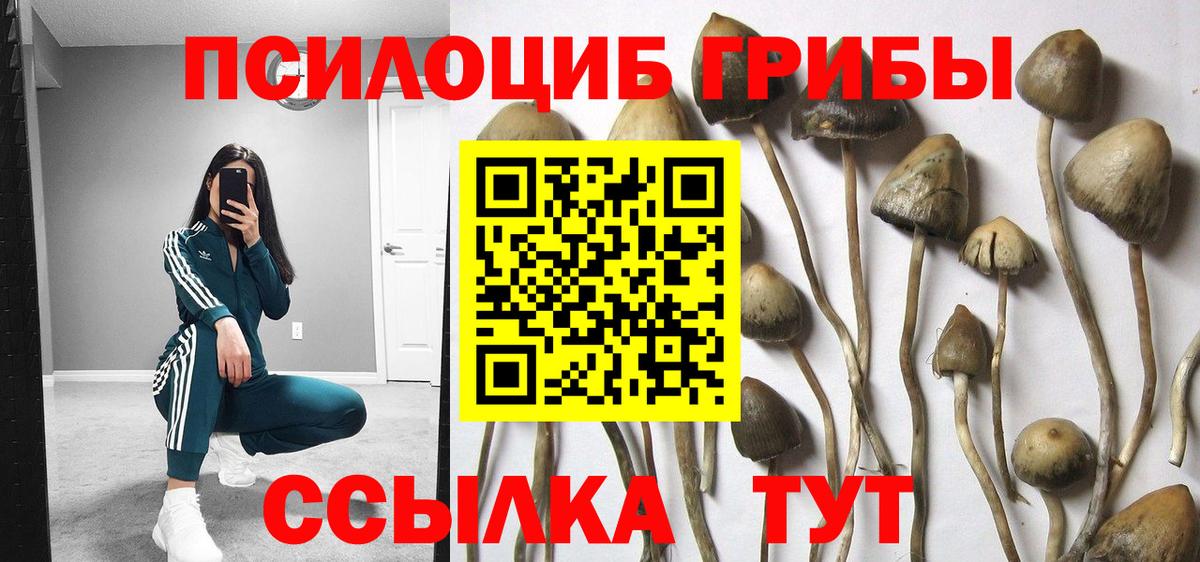 Куйбышев  Галлюциногенные грибы мухоморы  Вход с VPN 